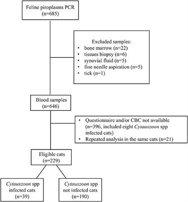 Clinicopathological findings and risk factors associated with Cytauxzoon spp. infection in cats: A case-control study (2008–2021)